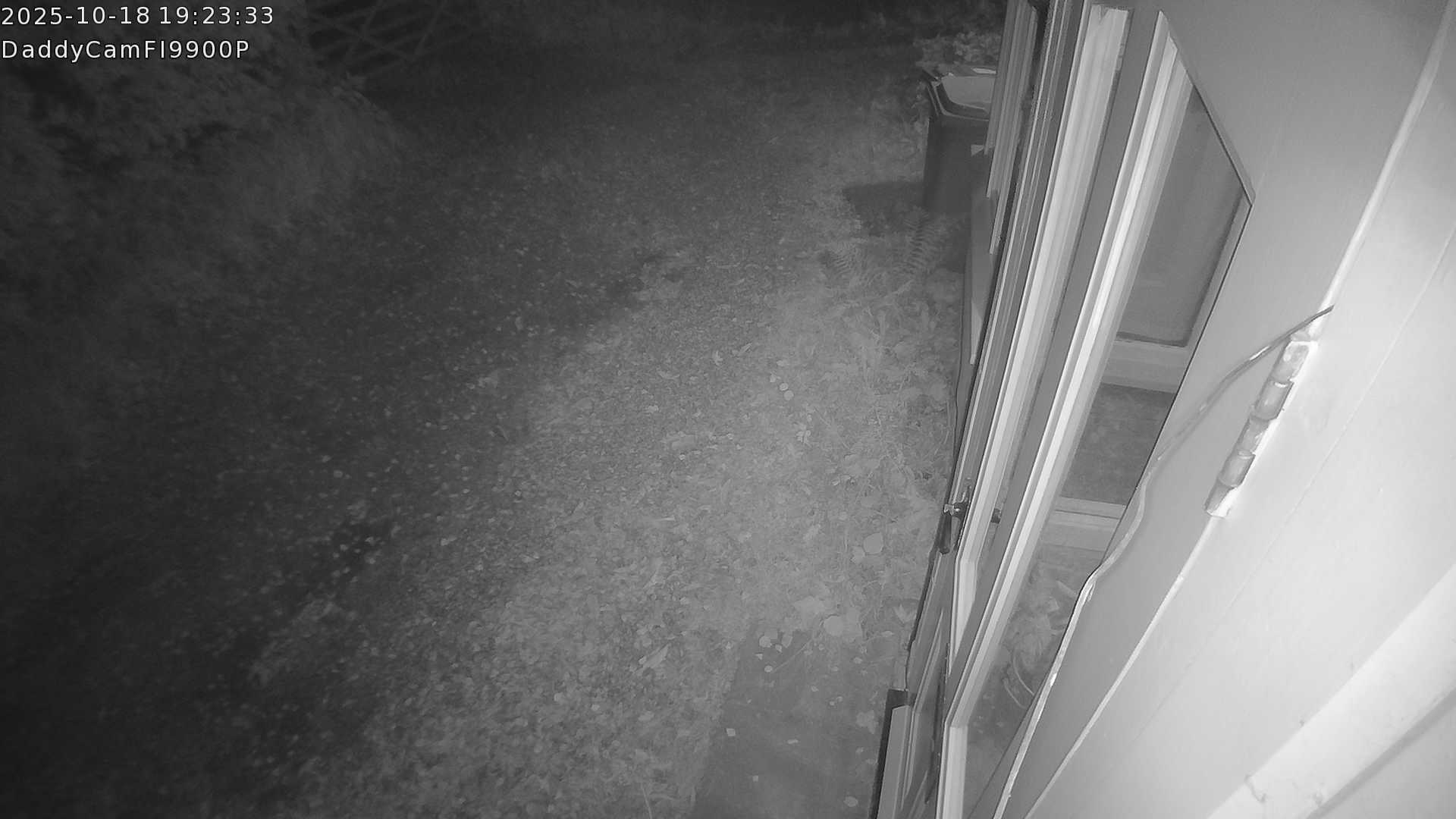 DaddyCam image:2071 DaddyCam image:2071