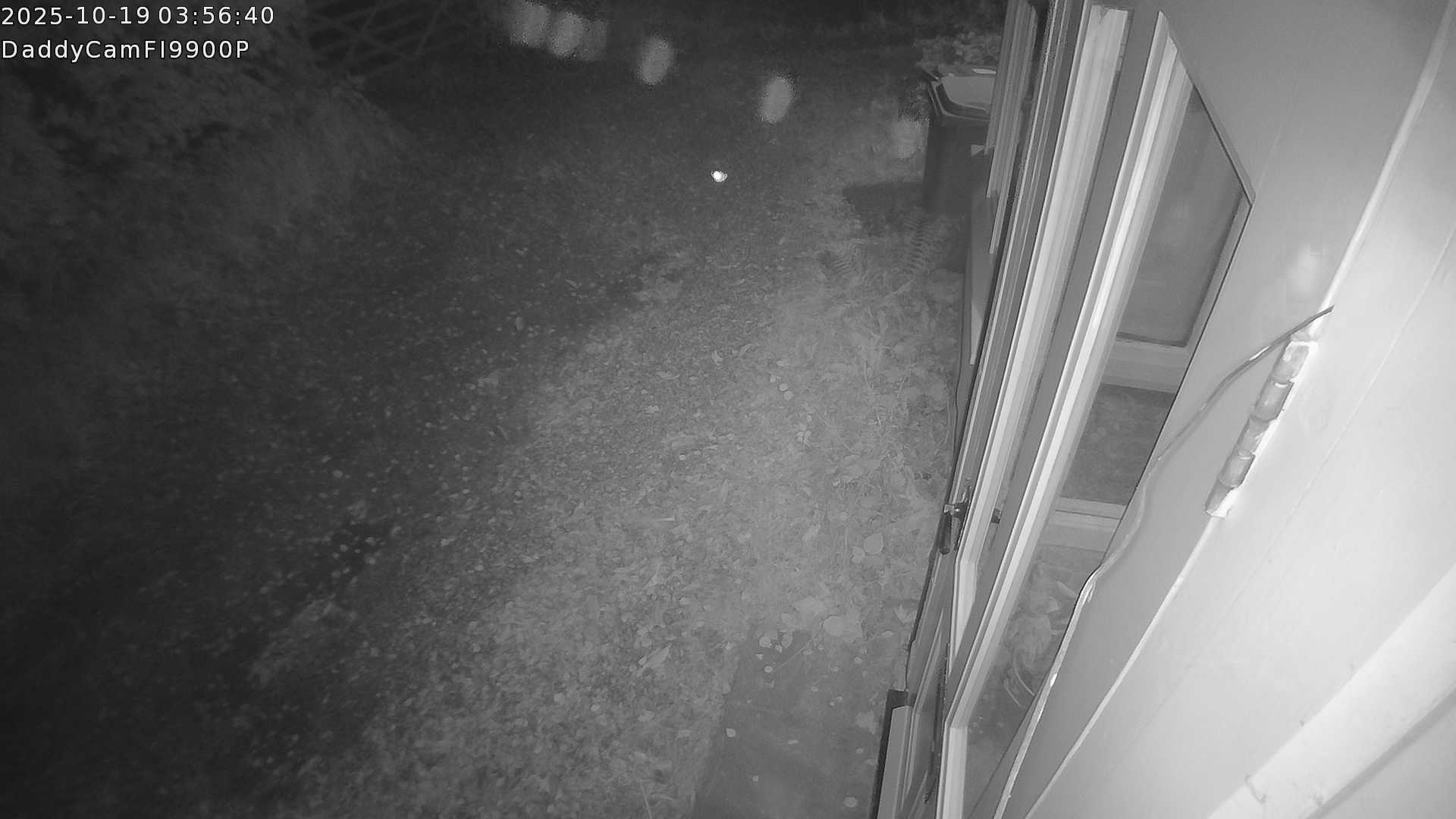DaddyCam image:2077 DaddyCam image:2077