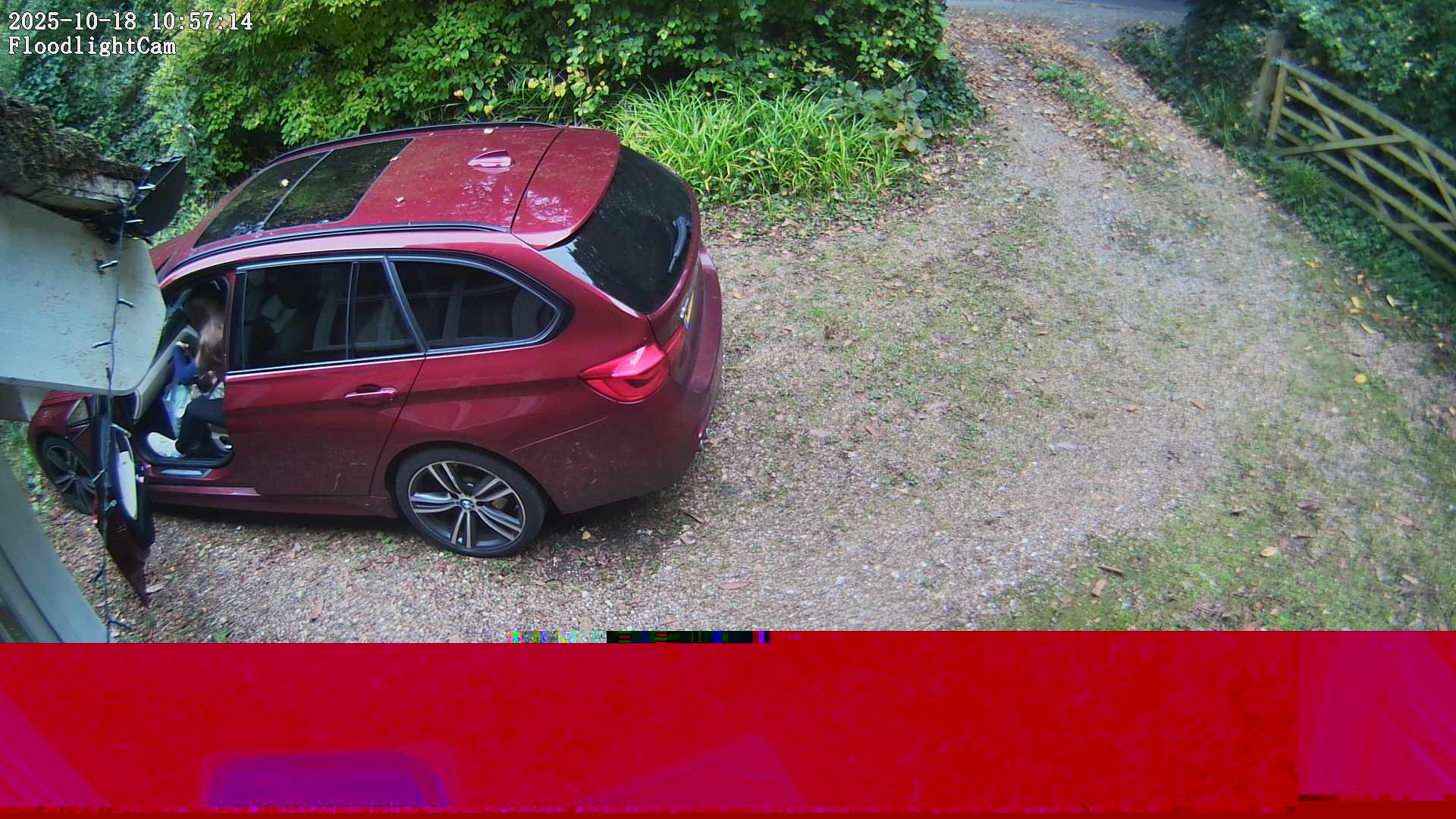 DaddyCam image:2050 DaddyCam image:2050