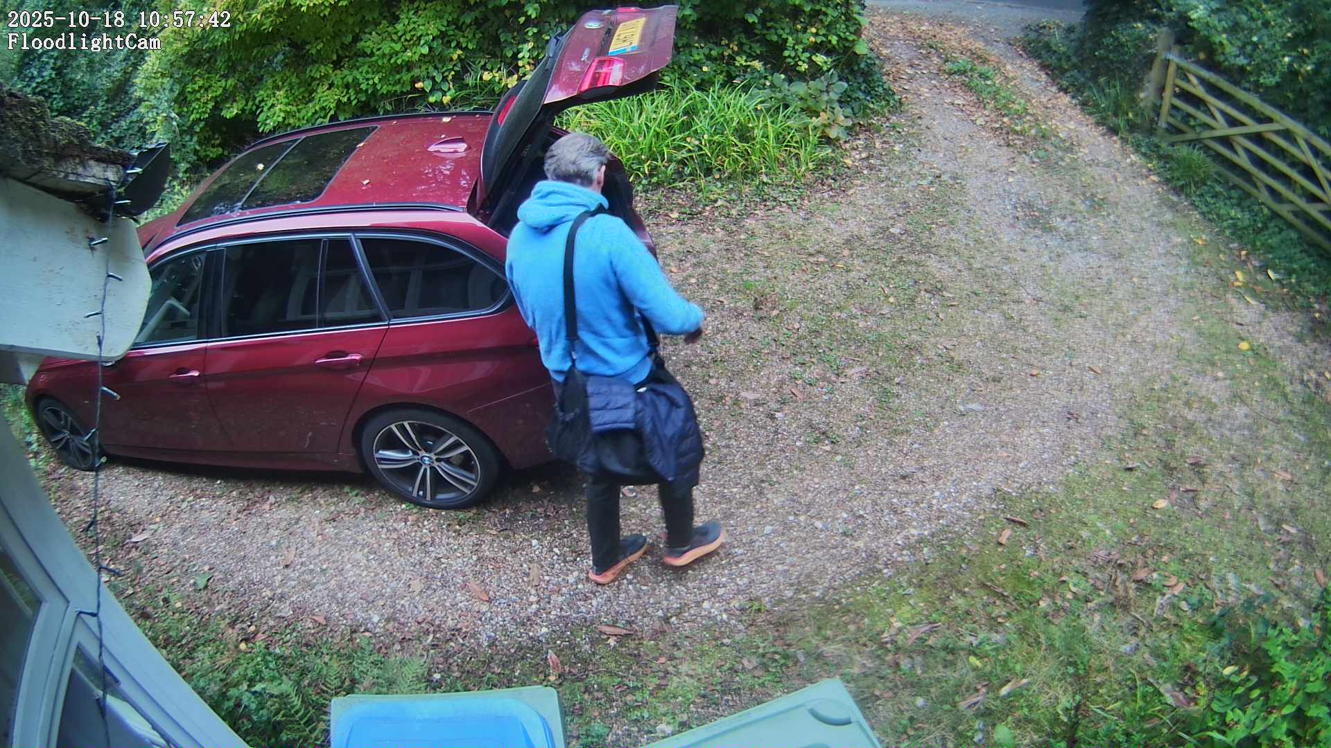 DaddyCam image:2054 DaddyCam image:2054
